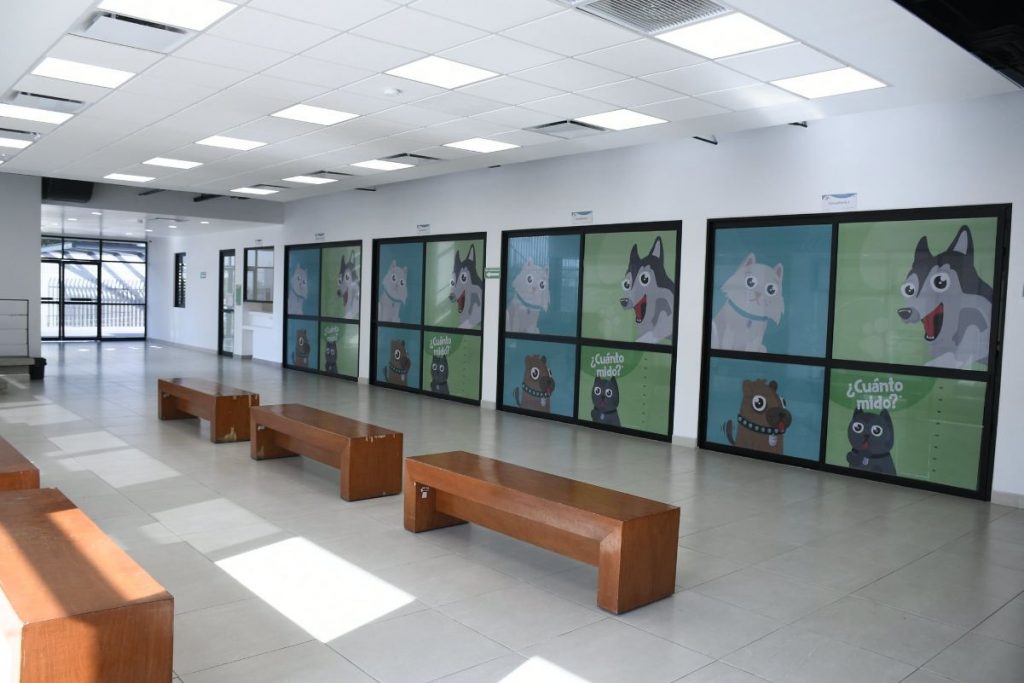 Centro Integral de Salud Animal de Zapopan: tus mascotas lo amarán