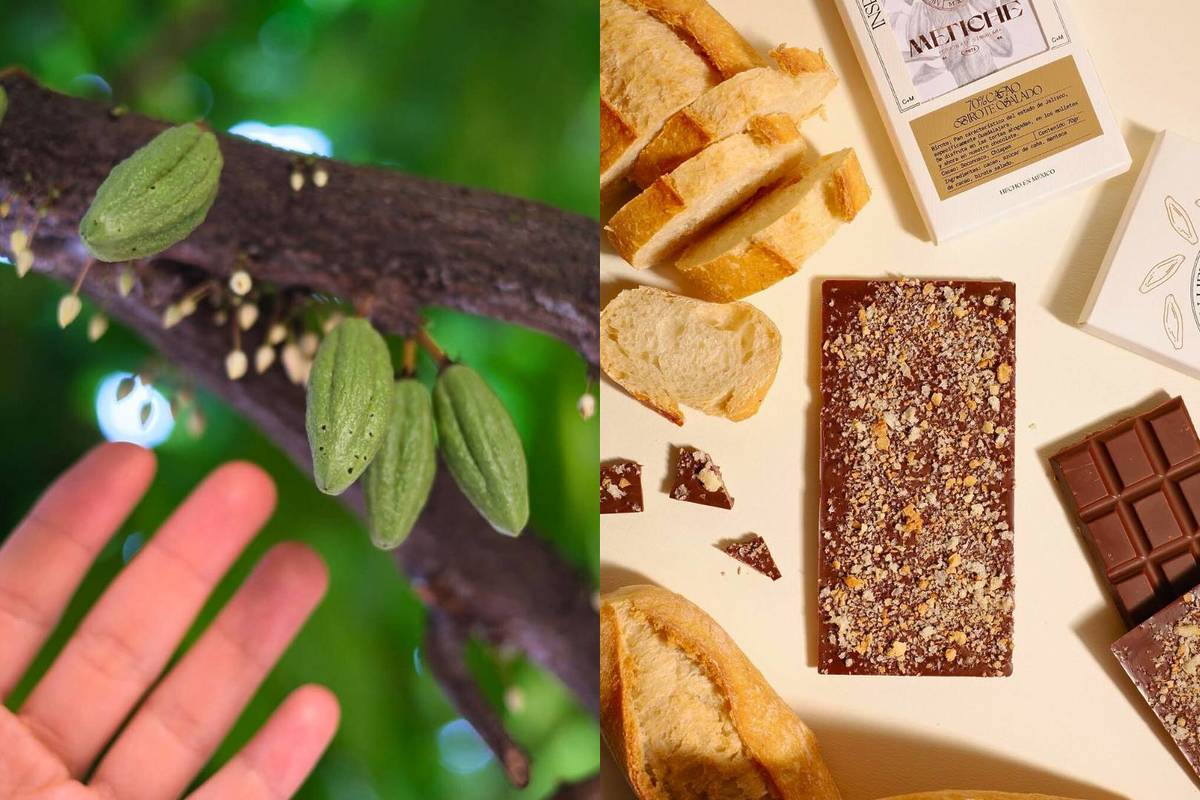 Mejores chocolaterías Guadalajara