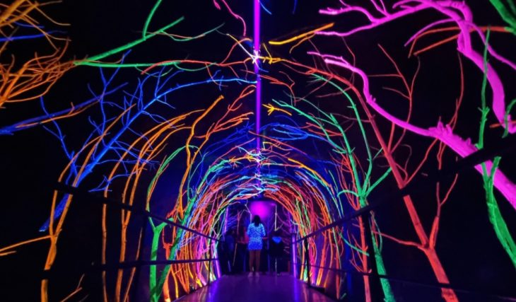 Canica Azul, el colorido recorrido en las Fiestas de Octubre