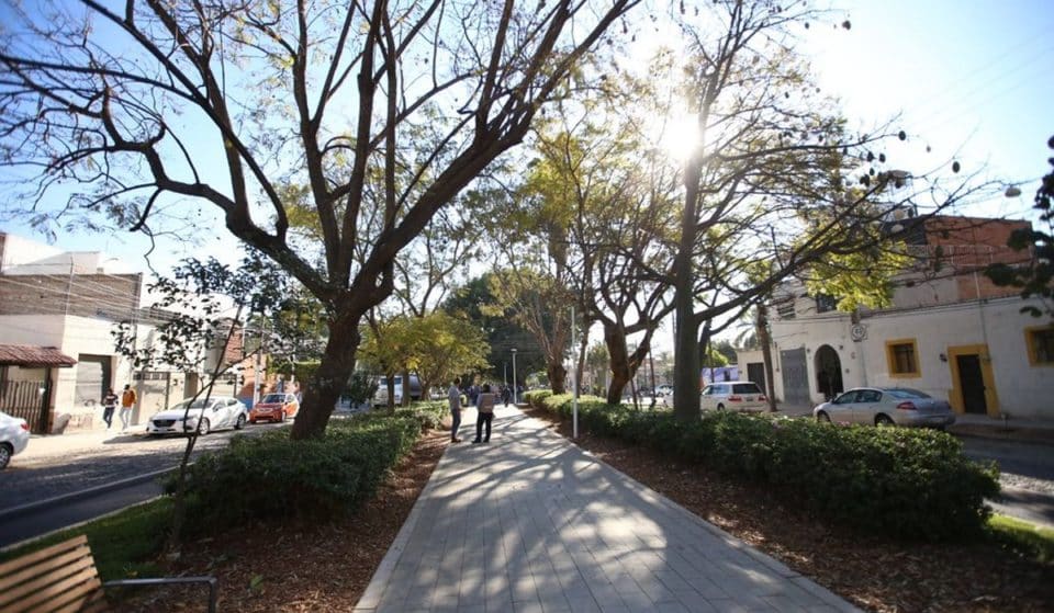 10 cosas que hacer en la colonia Seattle: ¡explora el barrio!
