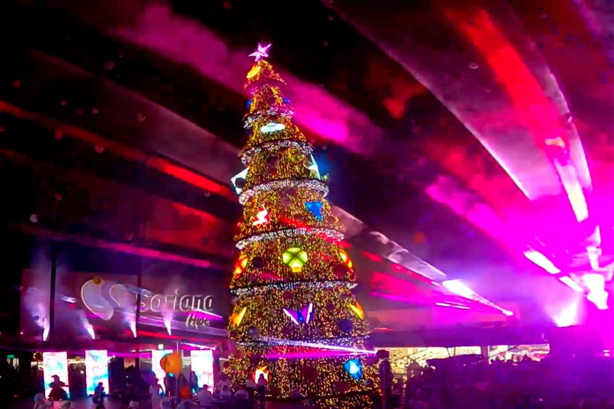 Show del árbol, un espectáculo luminoso en la Plaza del Sol
