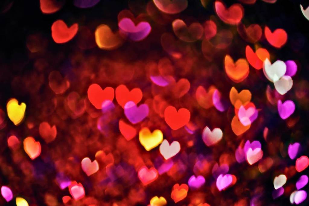 Zapopan Love Festival