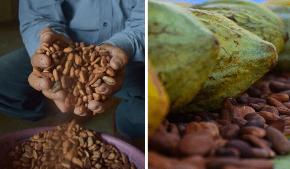 Regresa la Feria del Café y el Chocolate de Zapopan