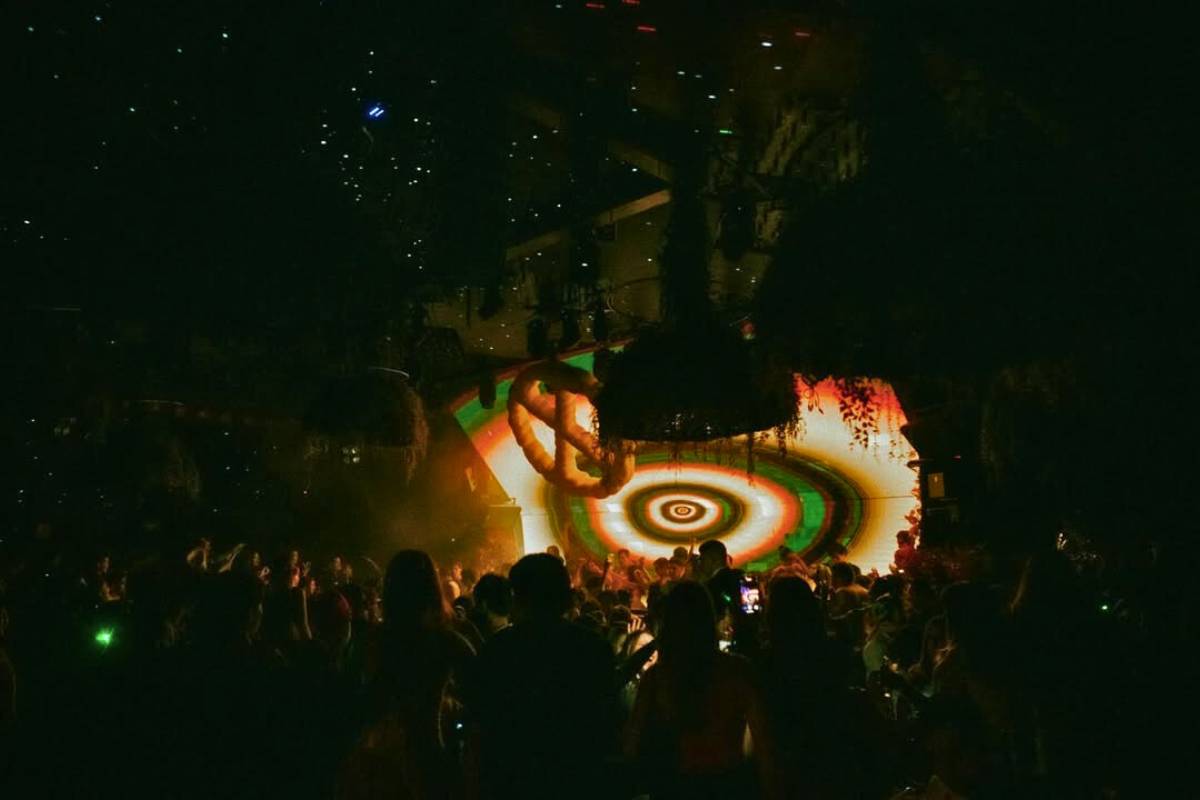 vida nocturna guadalajara