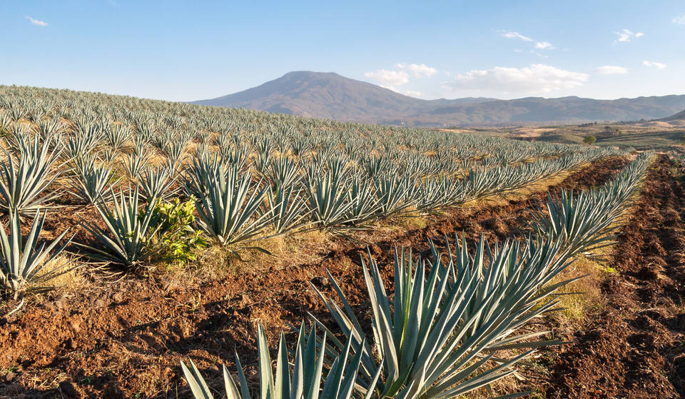 Qué lugares de Jalisco son patrimonio de la humanidad