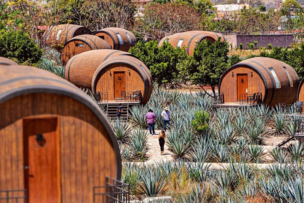 Matices Hotel Barricas