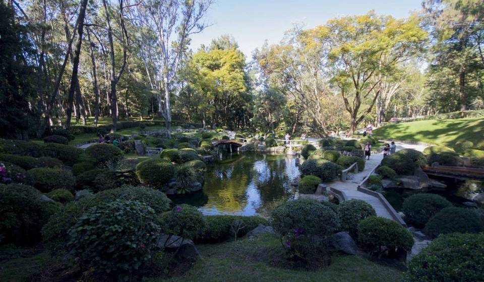 Habrá recorridos GRATIS en los parques por vacaciones
