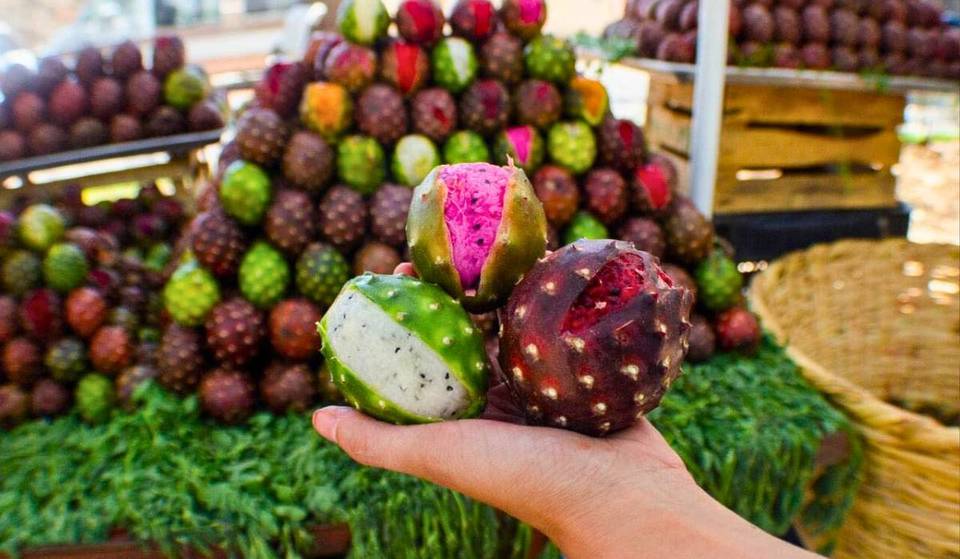 Lánzate a la Feria de la Pitaya de Techaluta de Montenegro