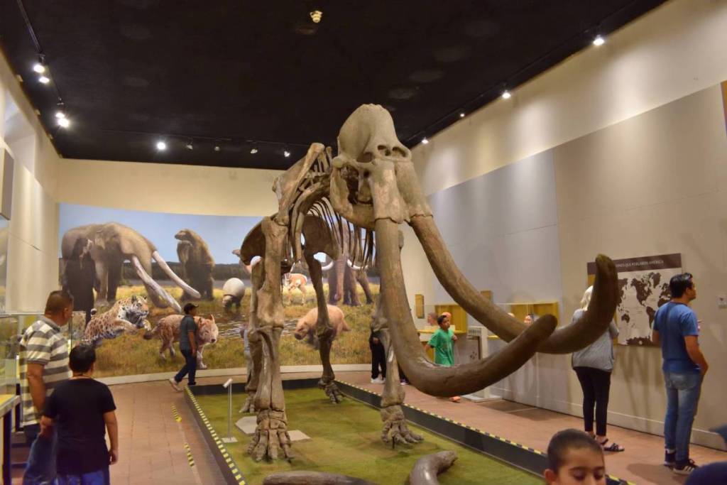 free things to do with kids in Guadalajara