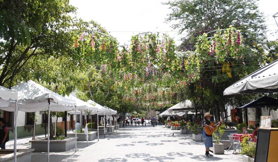 12 cosas que debes hacer en el Centro de Zapopan cuando vayas