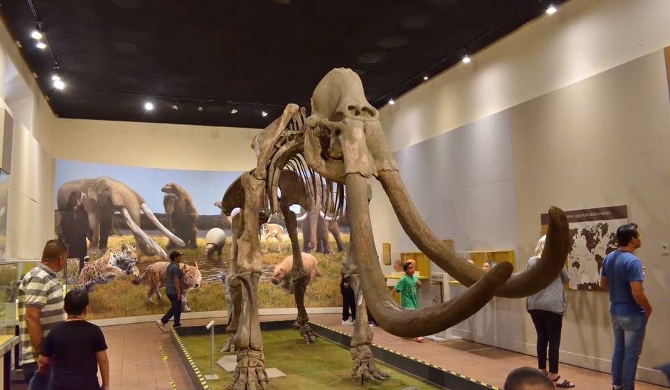 Estos serán los horarios de los museos de Guadalajara para las fiestas decembrinas