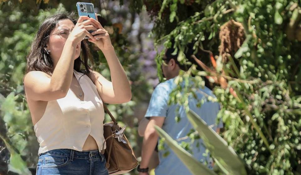Festival de las Flores: será este fin con esculturas en gran formato y eventos culturales