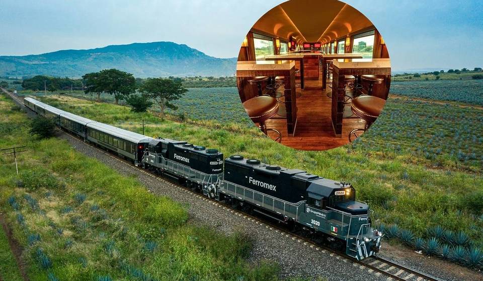 Lánzate a explorar Tequila en el nuevo tren panorámico