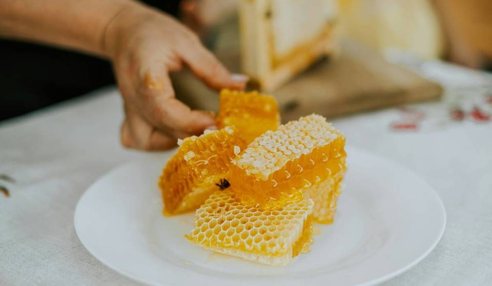 Feria de la Miel de Guadalajara: encuentra productos y actividades