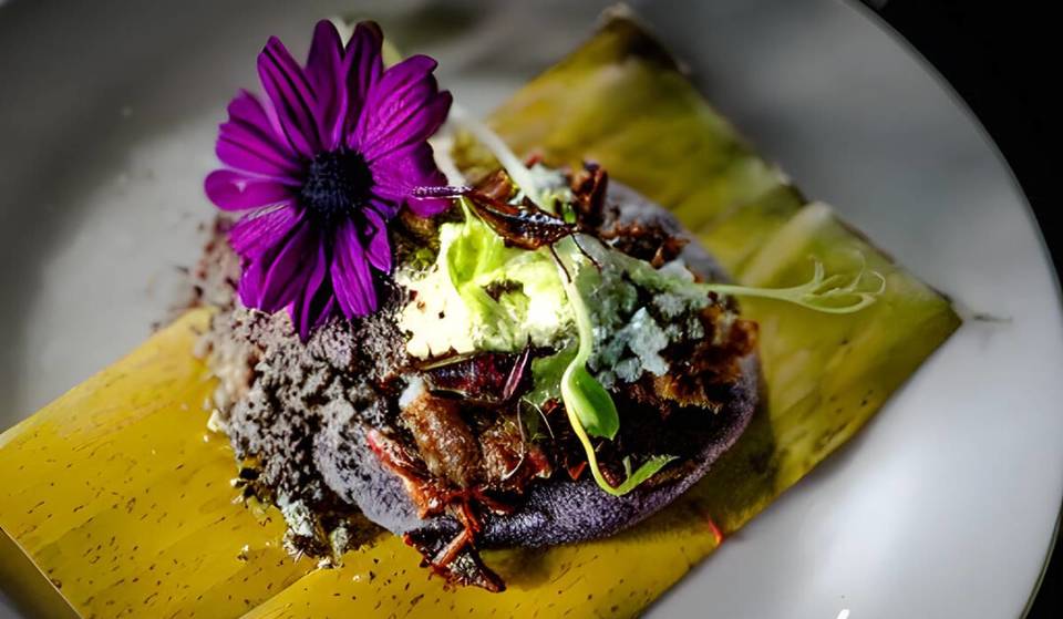 ¿Te atreves a cenar puros insectos? Así es esta experiencia gastronómica