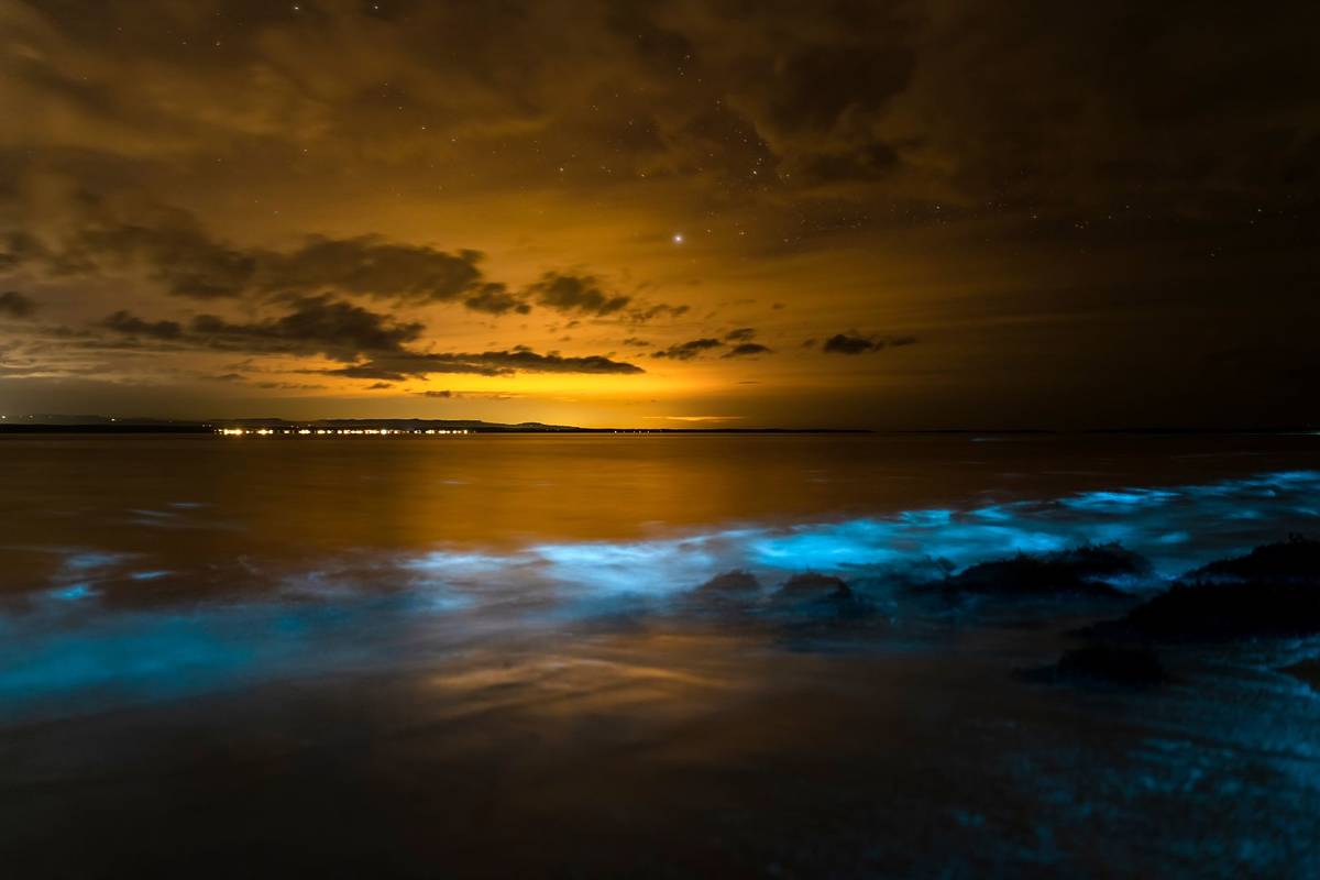 playa jalisco ver luminiscencia