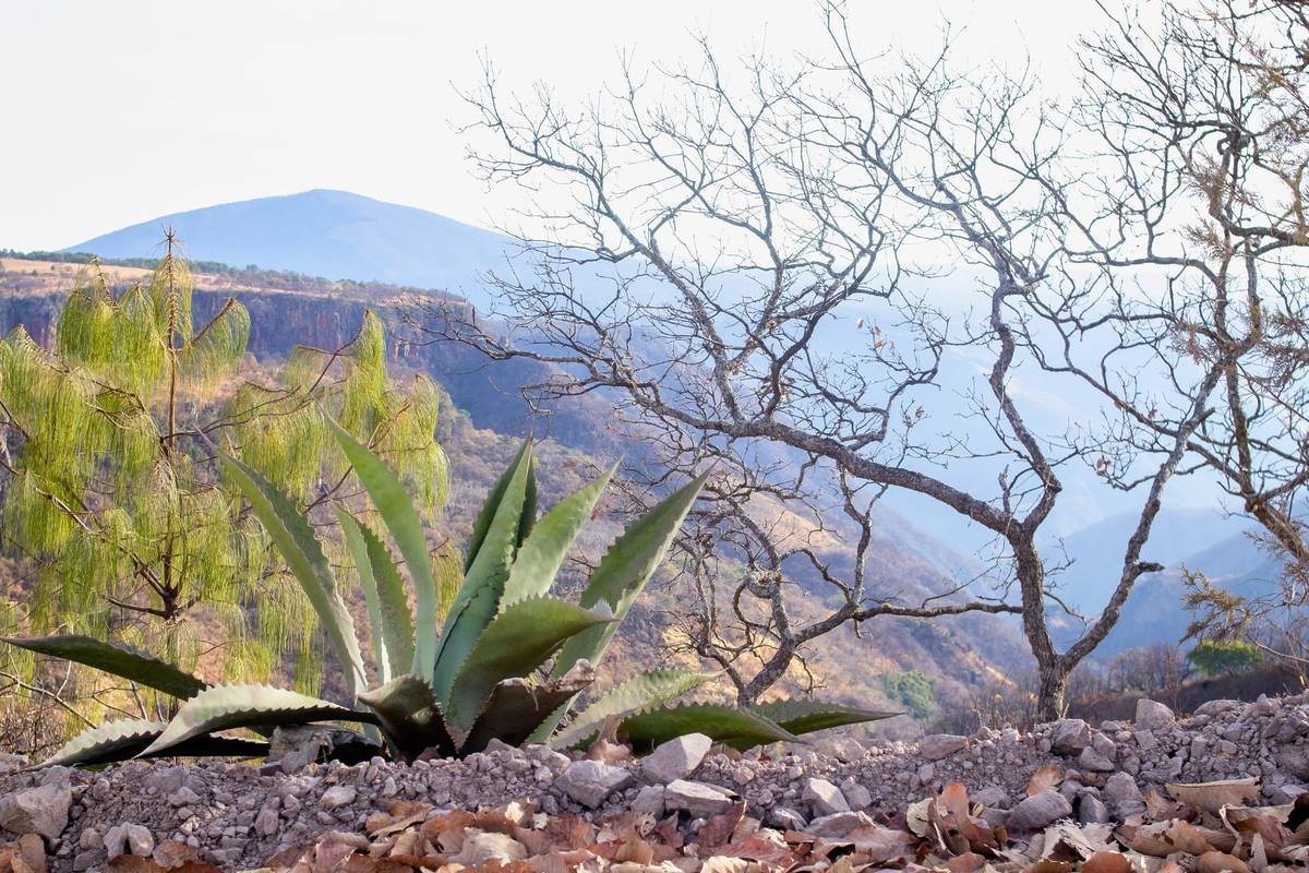 camping astronómico ruta raicilla