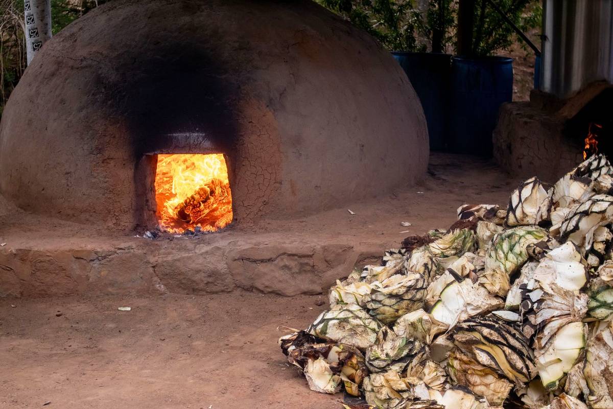 camping astronómico ruta raicilla
