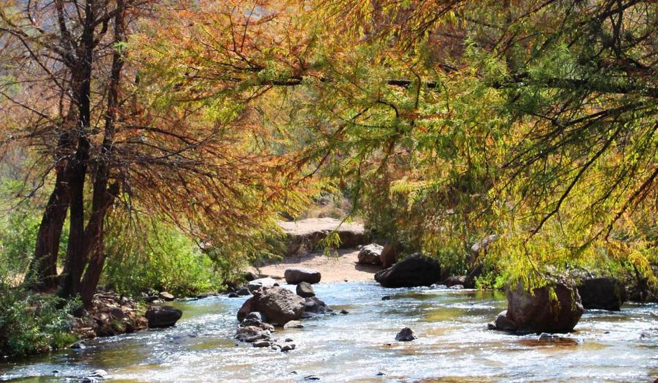 Las aguas termales más profundas cerca de Guadalajara, ¡son gratis y tienen hasta 4 metros!
