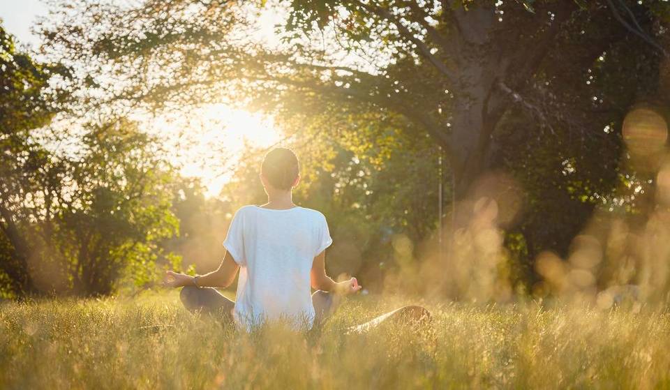 Toma una clase de yoga gratis en Colomos, ¡durante el atardecer!
