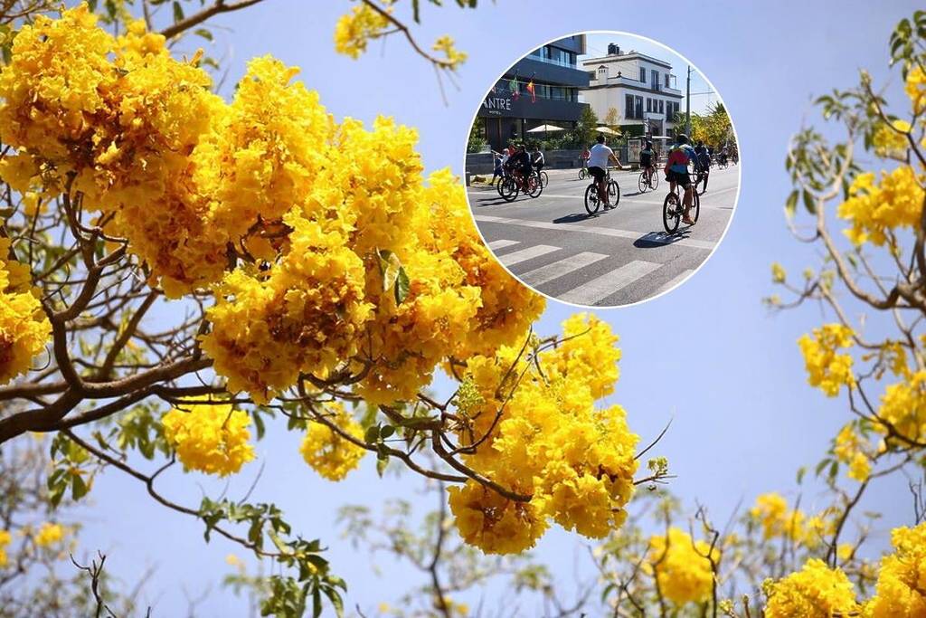 rodada ciclista gratis