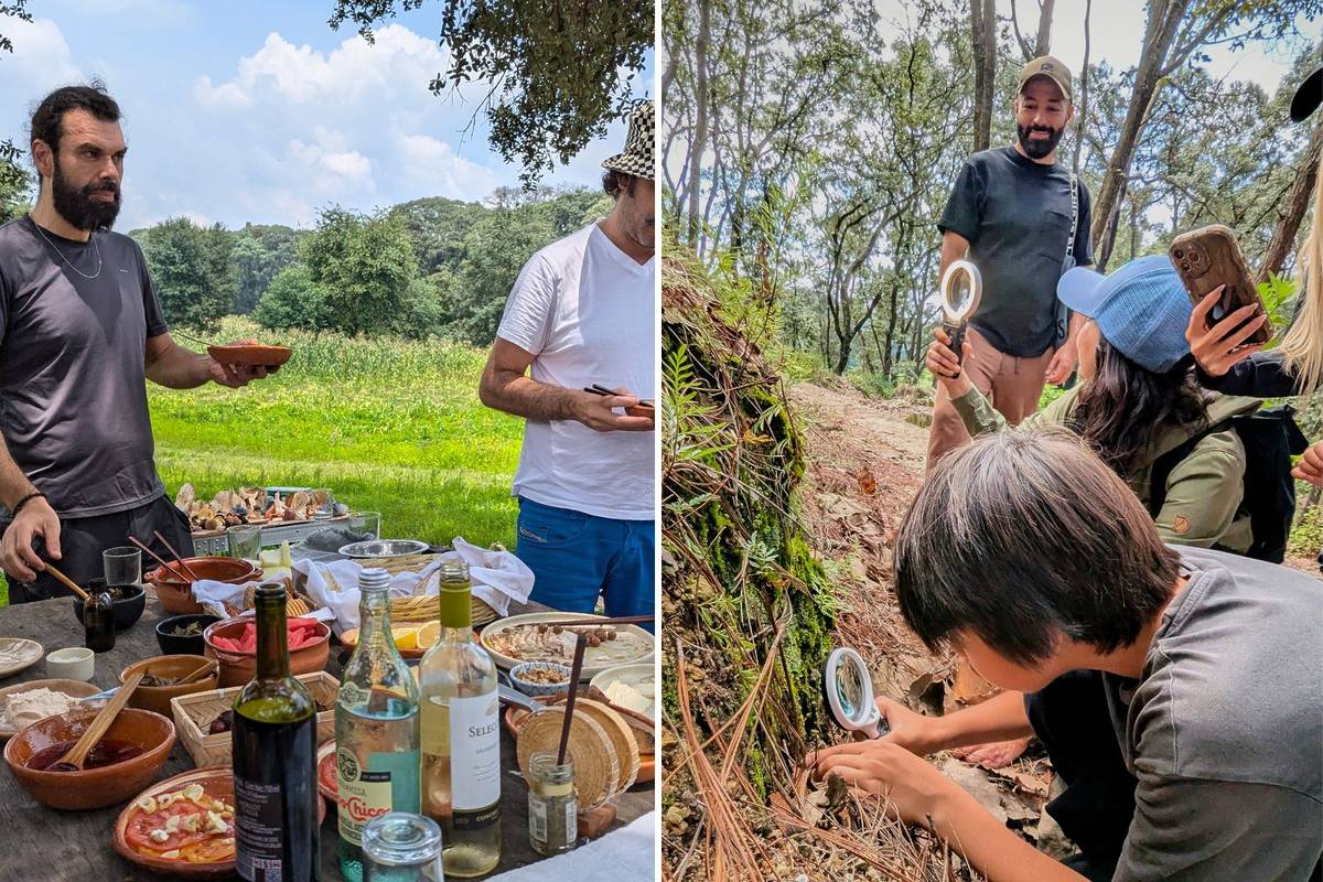 Picnic y Hongos en el Bosque