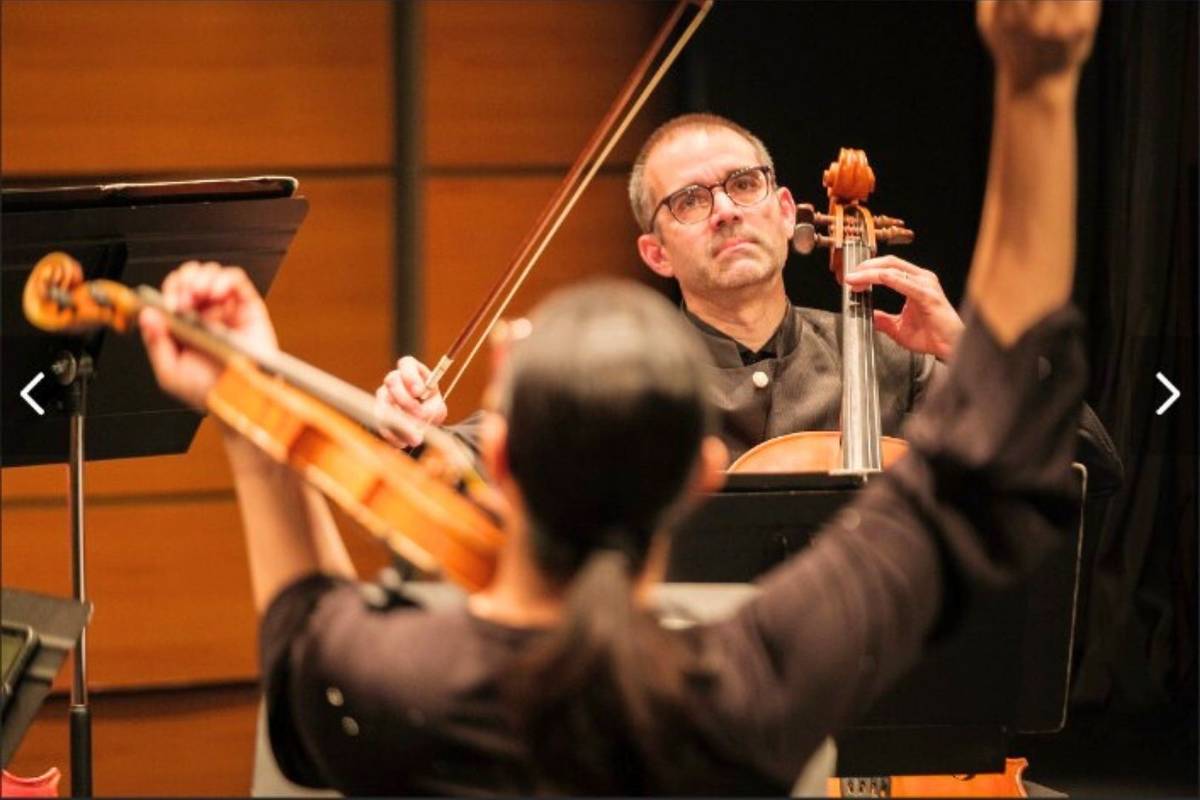 Concierto de Mozart y Strauss desde $50