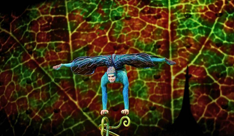 ¡Un espectáculo de Cirque de Soleil viene a Guadalajara en 2025! Se llama OVO y está inspirado en los bichos