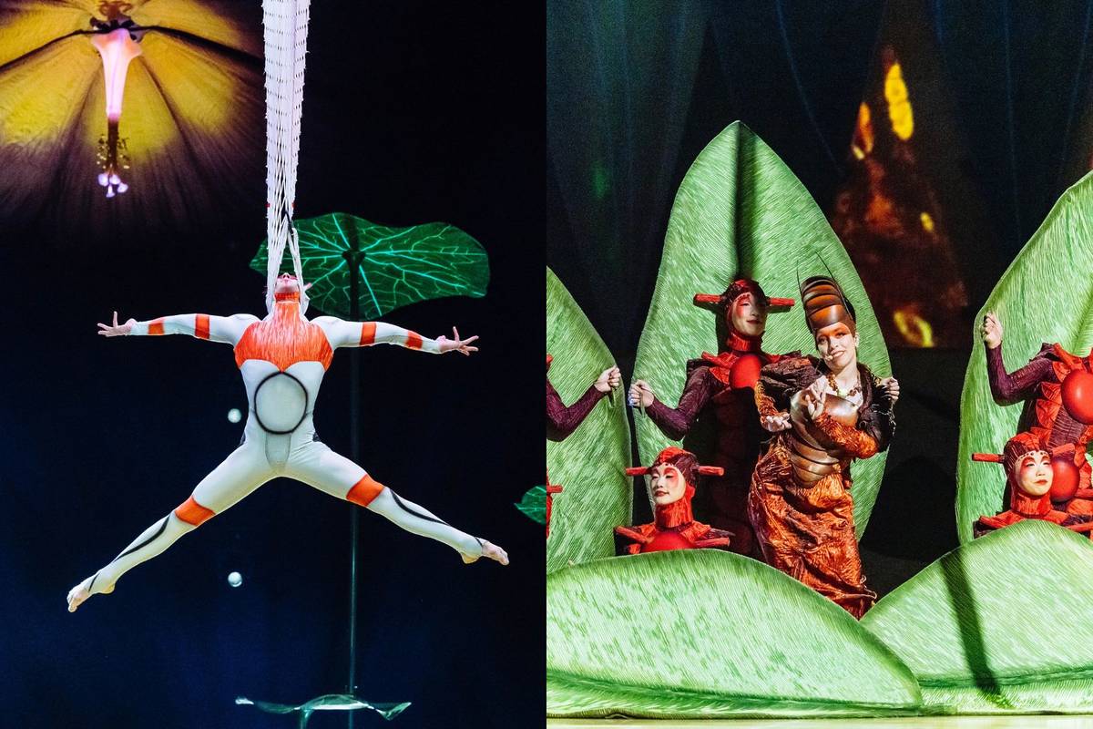 Nuevo espectáculo de Cirque de Soleil Guadalajara