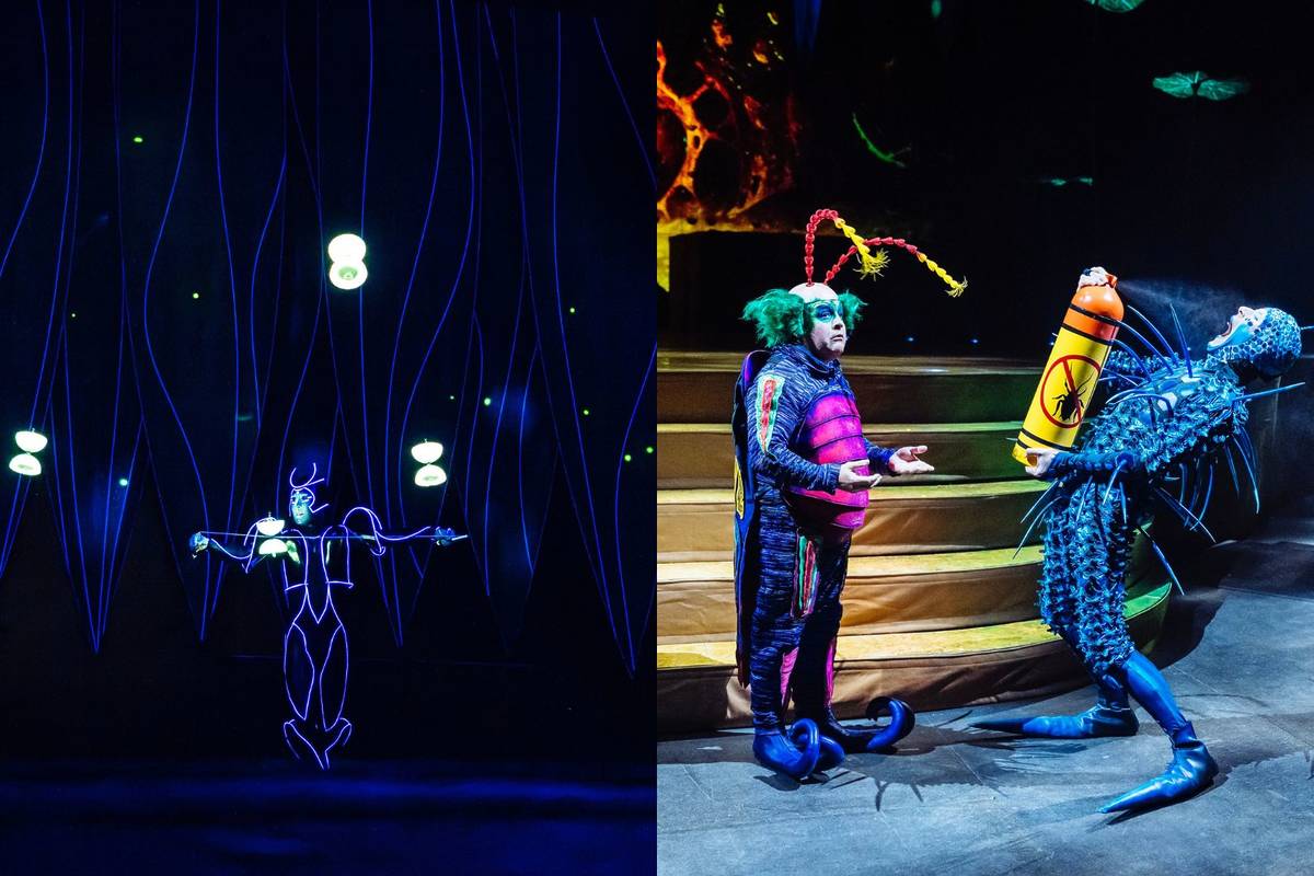 Ovo Cirque de Soleil Guadalajara