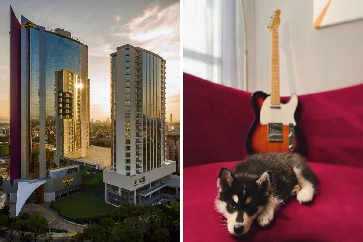 Mejores hoteles pet-friendly Guadalajara