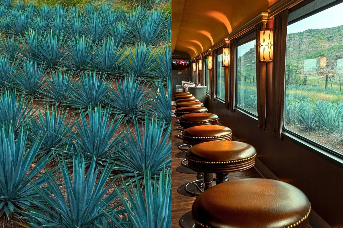 fiesta tequila express día del tequila