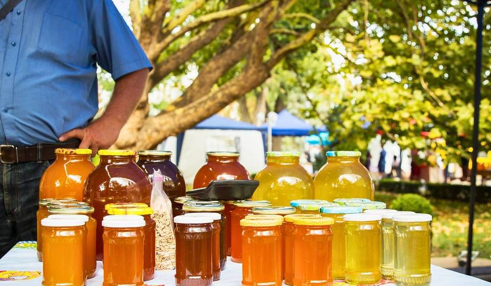 La Feria de la Miel vuelve a Zapopan con catas, talleres y actividades gratis para toda la familia