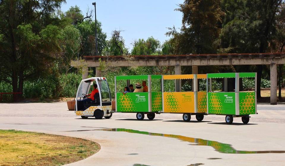 Ni Colomos ni Metropolitano — este es el parque de Guadalajara con rampas, áreas verdes y sin multitudes
