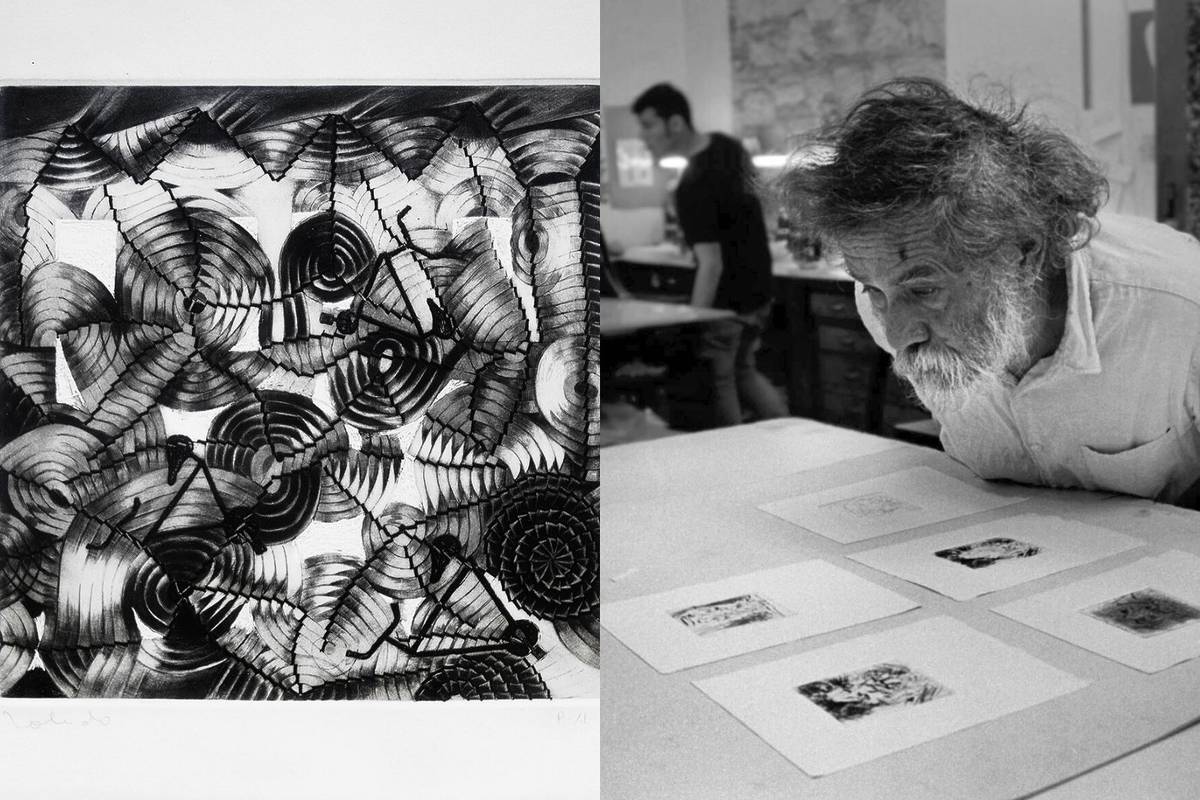 Francisco Toledo Guadalajara