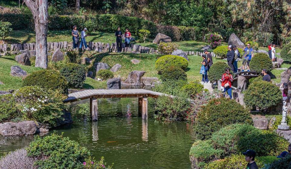 ¿Por qué existe un Jardín Japonés en pleno Bosque Colomos de Guadalajara?