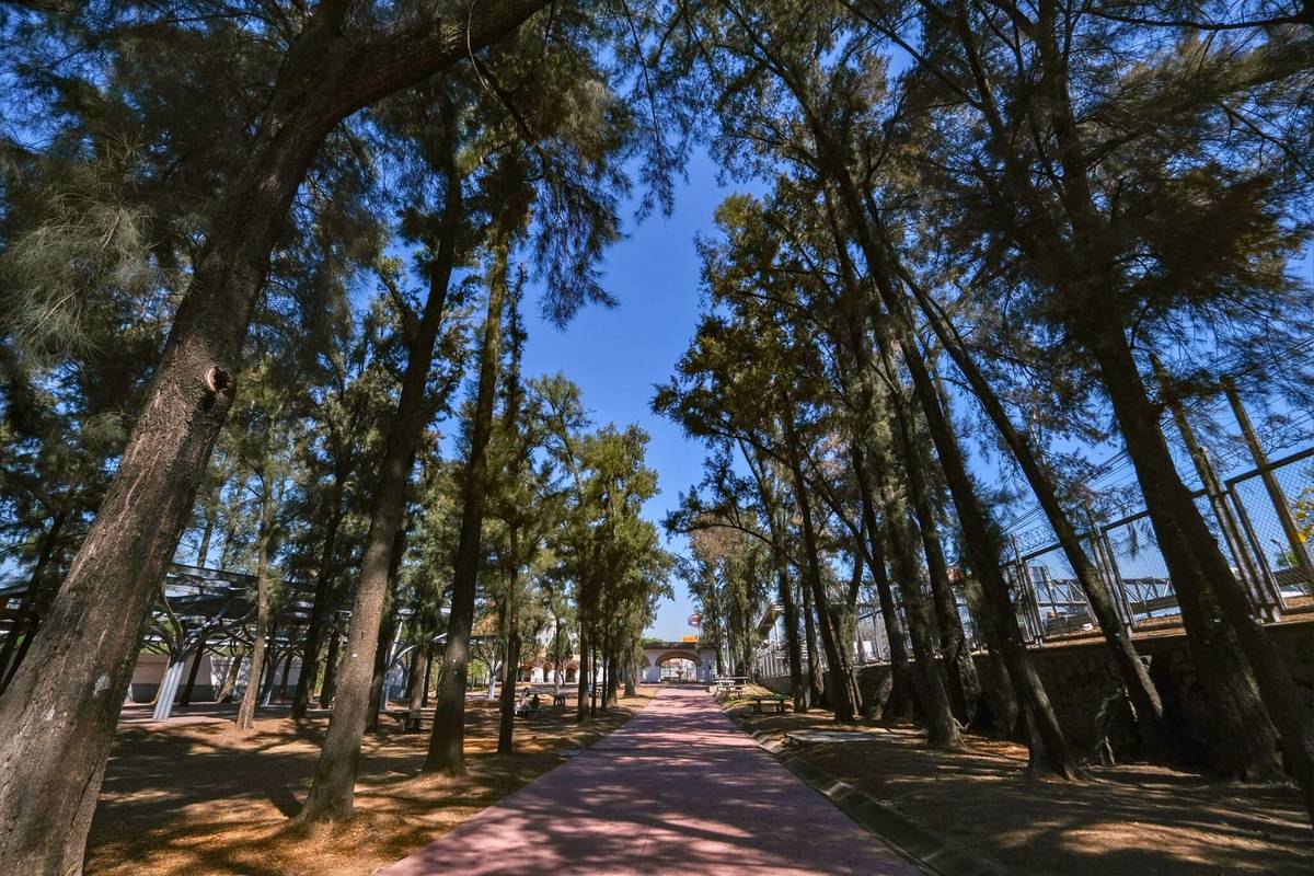parque más bonitos de guadalajara