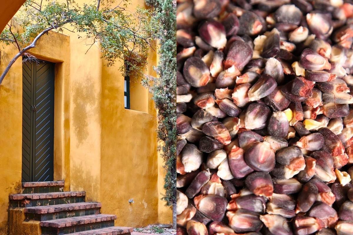 Día del Maíz en Casa Iteso Clavigero