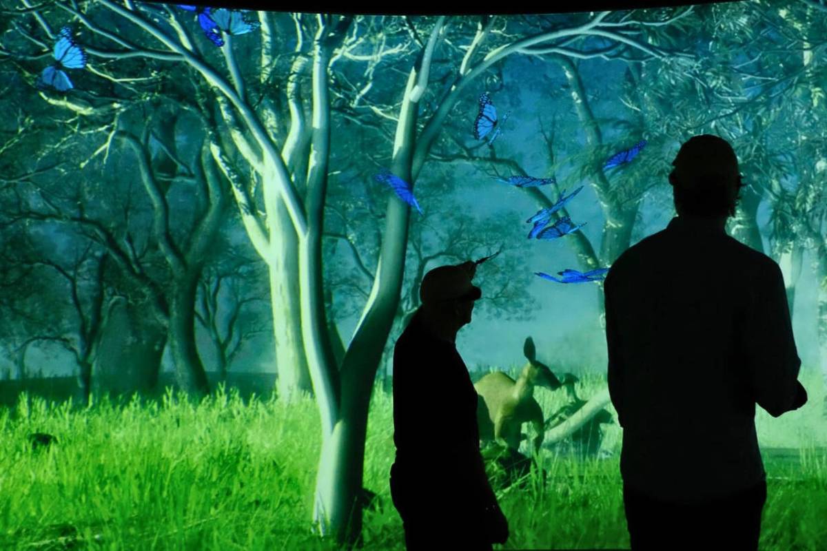 Creature experiencia inmersiva