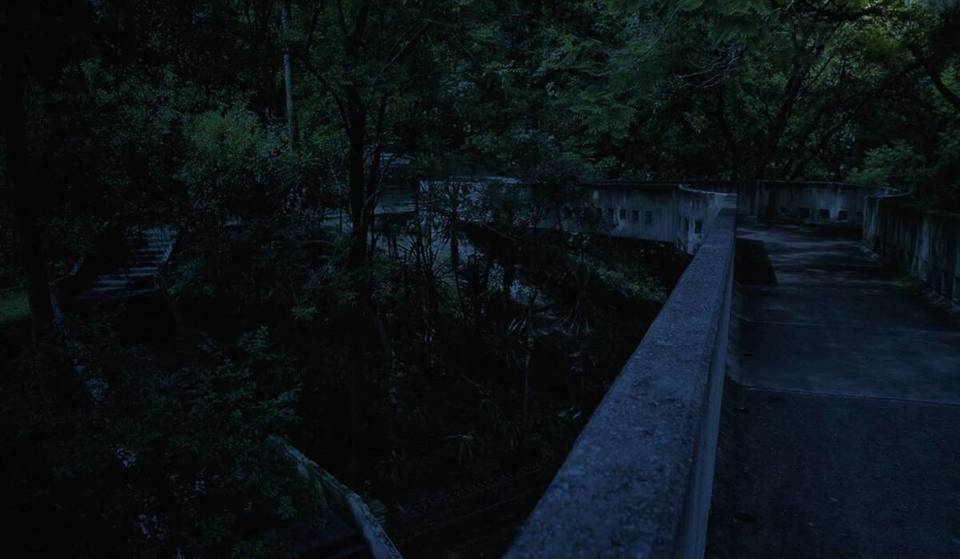 El Bosque Colomos de Guadalajara abre de nuevo su esperado recorrido nocturno