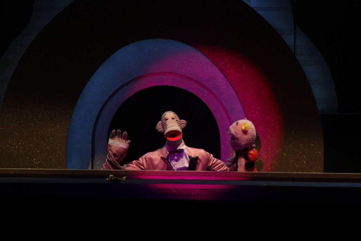 Concierto Tributo 31 Minutos Guadalajara