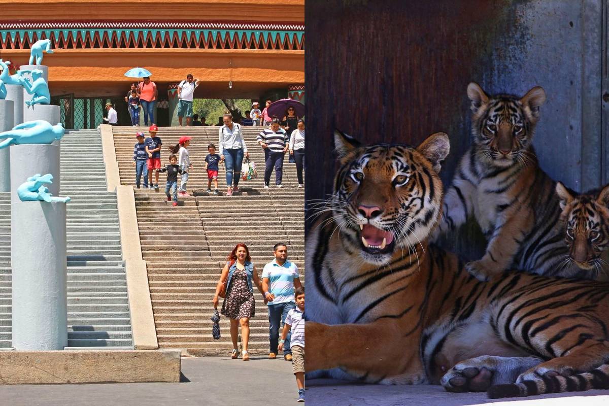 zoologico-guadalajara-ninos-1-peso-aniversario