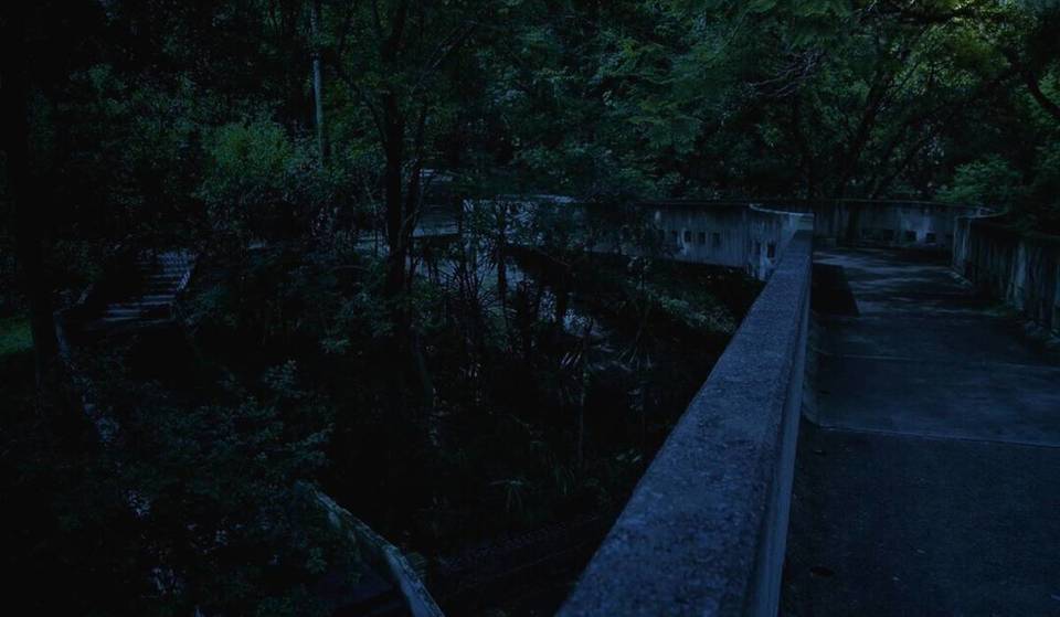 El Bosque Colomos de Guadalajara tendrá un recorrido nocturno en diciembre, ¡el último del año!