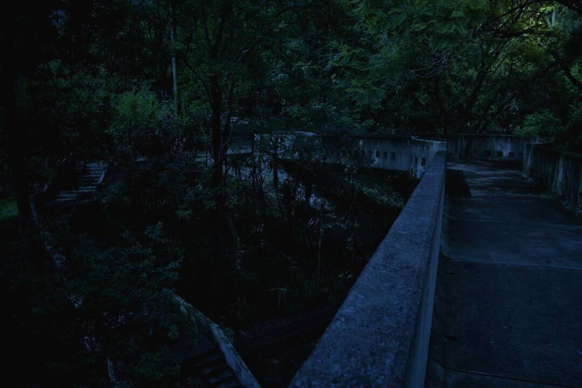 recorridos nocturnos de Día de Muertos en el Bosque Los Colomos