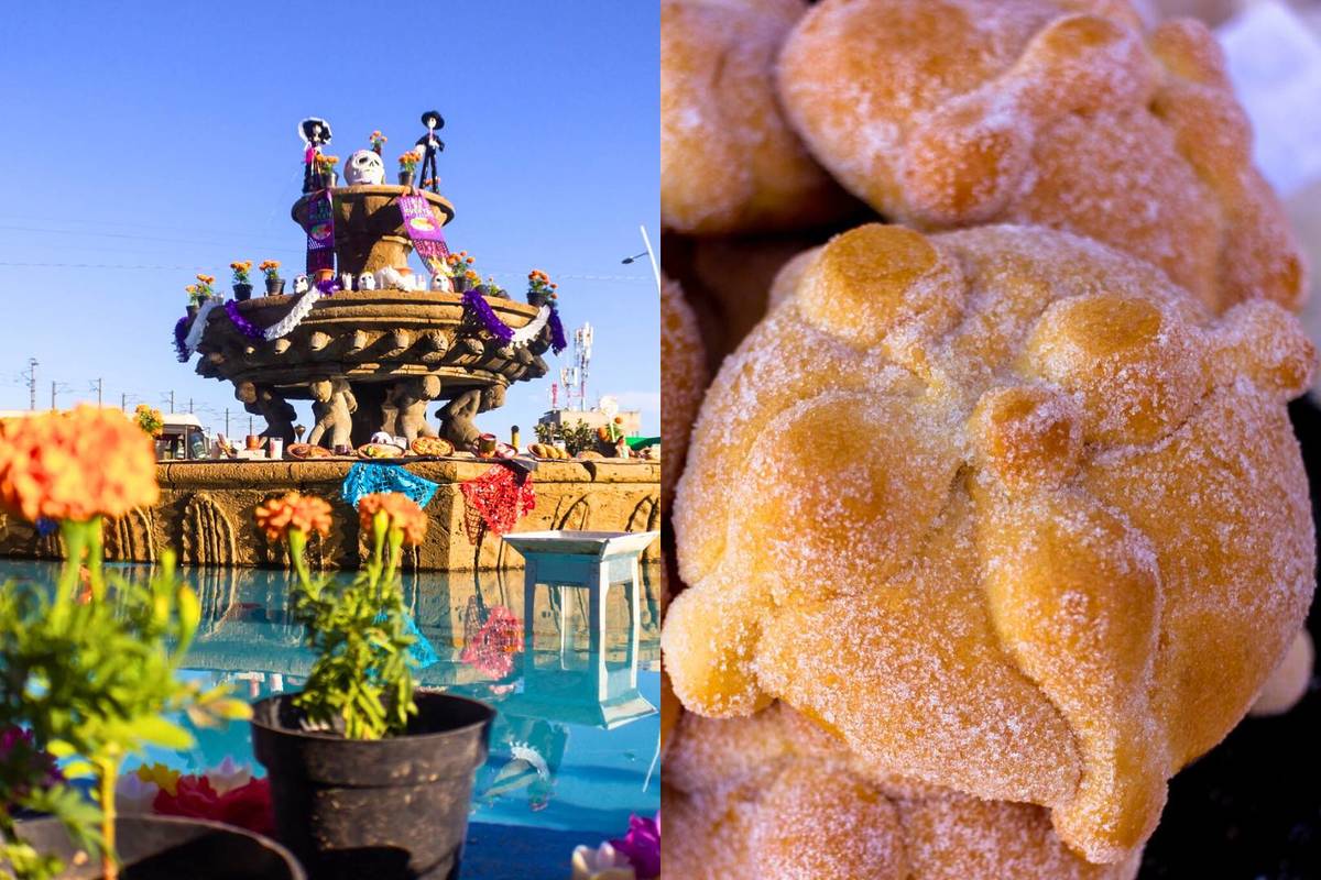 Festival Gastronómico Zapopan