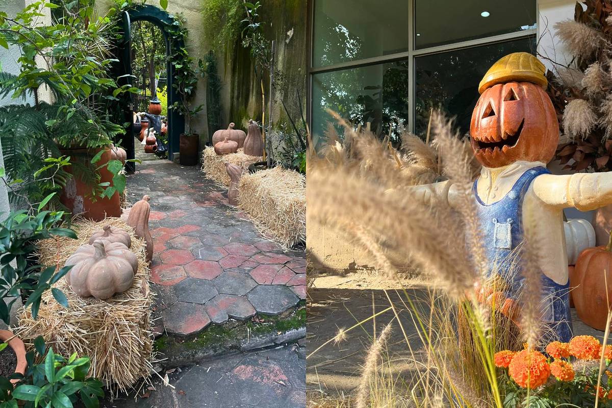 Festival Otoño Guadalajara Casa Nido