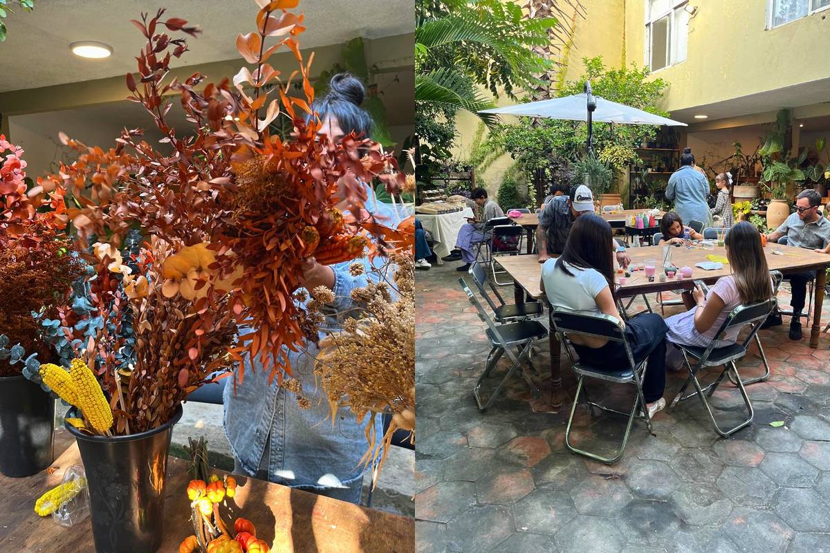 Festival Otoño Guadalajara Casa Nido