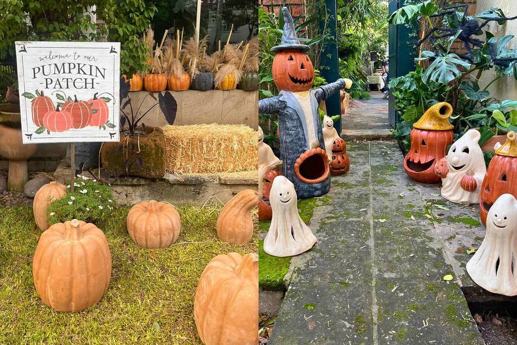 Festival Otoño Guadalajara Casa Nido