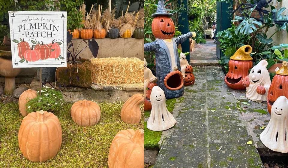Festival de otoño en Guadalajara — el plan perfecto del fin de semana con calabazas, música y ambiente cozy