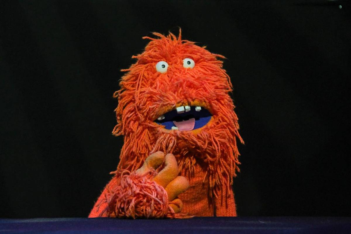 31 Minutos Guadalajara